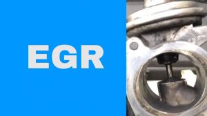 Сборник программ для отключения DPF, EGR и кодов ошибок (DTC) в прошивках ЭБУ - 13 программ